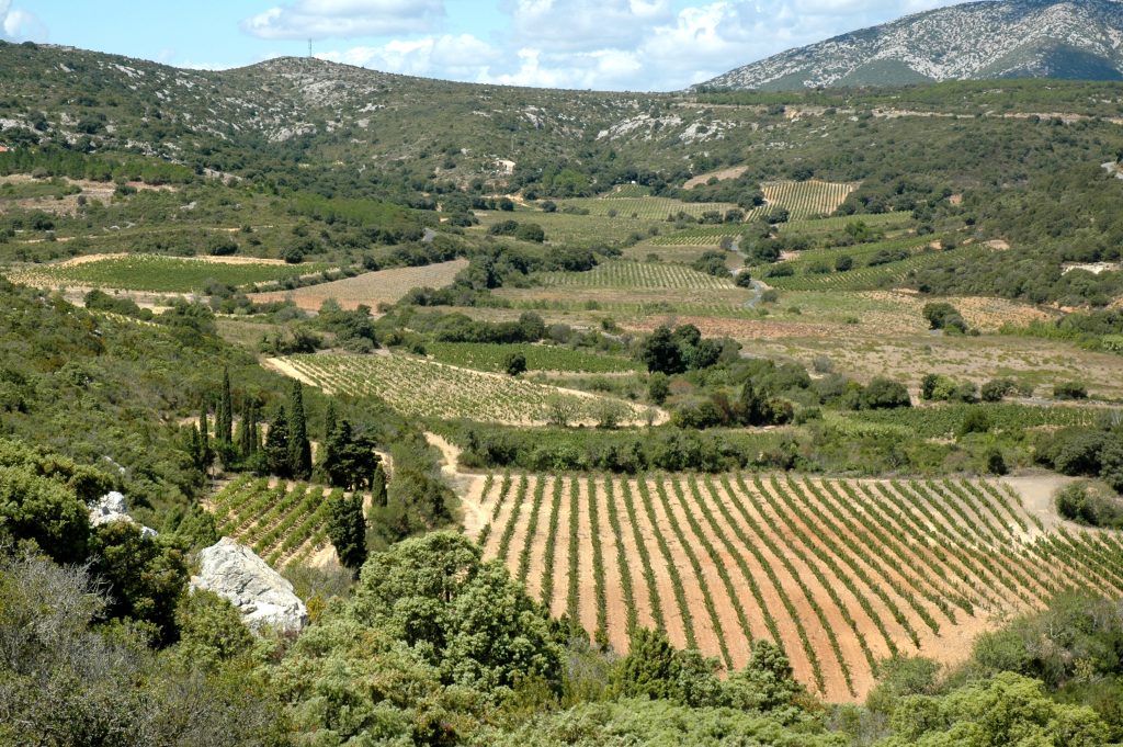 Corbières
